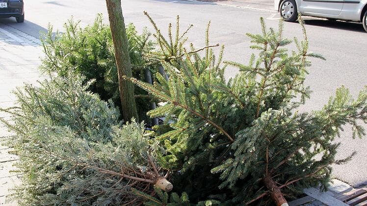 Bamberg: Christbaumabholtermine in Kalendern falsch abgedruckt - das sind die richtigen