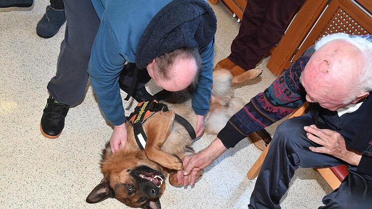 Therapiehund Aramis bei den Senioren im Kulmbacher WohnstiftFoto: Ronald Rinklef