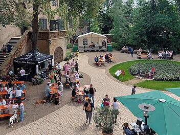 Die Museen Schloss Aschach veranstalten am Samstag, 9., und Sonntag, 10. Mai, das Schlossfest.