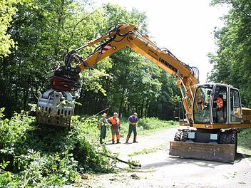 Arbeiter räumten die Bäume von der B 287.  Foto: Edgar Bartl
