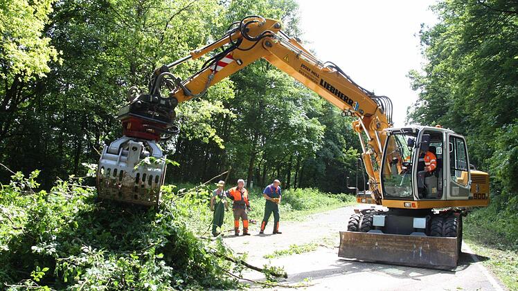 Arbeiter räumten die Bäume von der B 287.  Foto: Edgar Bartl