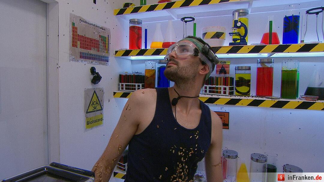 Ich bin ein Star - Holt mich hier raus!