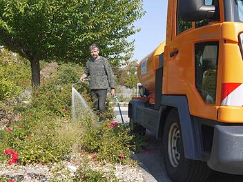 Nur  dank der Wasserspenden von Lothar  Geuther und  seinen Kollegen  des  Bauhofes haben die städtischen Grünflächen  - wie hier die Rosenbeete an der Lindenstraße - zumindest  teilweise den extrem trockenen Sommer überstanden. Foto: Berthold Köhler