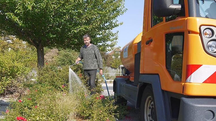 Nur  dank der Wasserspenden von Lothar  Geuther und  seinen Kollegen  des  Bauhofes haben die städtischen Grünflächen  - wie hier die Rosenbeete an der Lindenstraße - zumindest  teilweise den extrem trockenen Sommer überstanden. Foto: Berthold Köhler