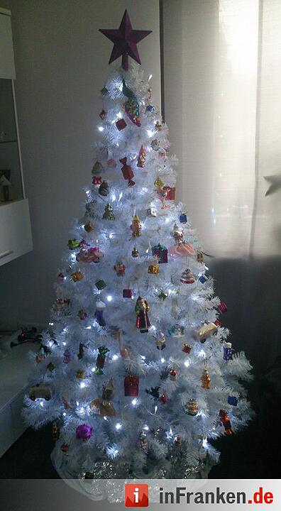 Weihnachten in Franken: Die Christbäume unserer Leser