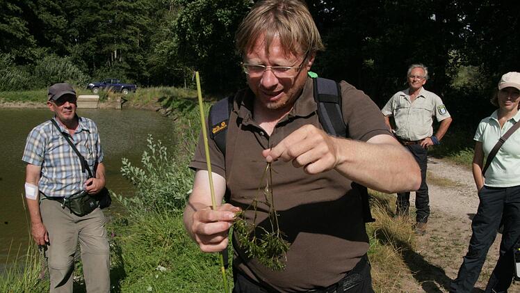 Martin Feulner mit einem Stängel Nixenkraut in der Hand -  Foto: Sylvia Hubele.