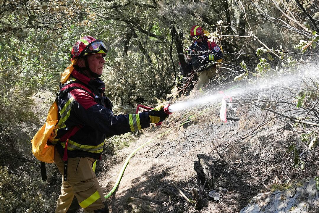 Weitere Entwicklung zu den Waldbr&auml;nden