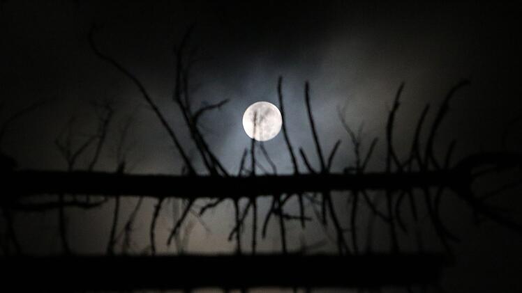 Mondlicht