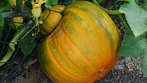 Symbolbild: Wolfgang Schwarz