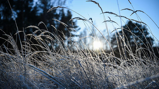 Frostige N&auml;chte in Franken erwartet