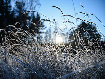 Frostige Nächte in Franken erwartet