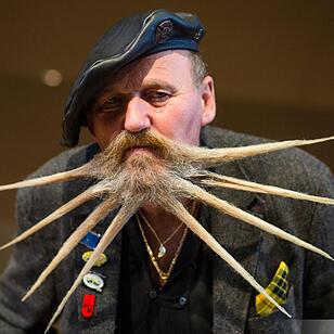 Internationale Deutsche Meisterschaft der Bartträger