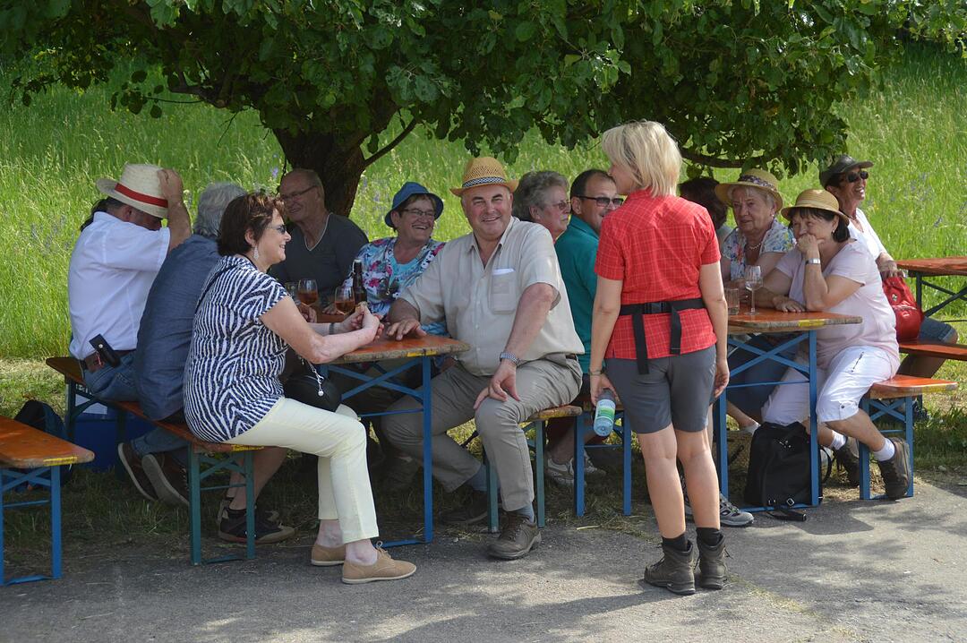 Landkreiswanderung 2017