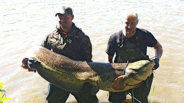 Markus Warter (r.) angelte den Riesenwaller, den er nur mit der Hilfe von Andreas Sandel aus dem Wasser brachte. Foto: privat