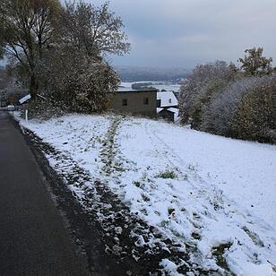 Schulbusunglück bei erstem Schnee – Bus rutscht 300 Meter den Hang hinab – Kinder zum Glück keine im Bus