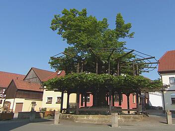 Die Tanzlinde in Isling ist der "Baum der Bayern". Das ganze Dorf freut sich über diesen Erfolg im Wettbewerb. Foto: © BR/Wir in Bayern