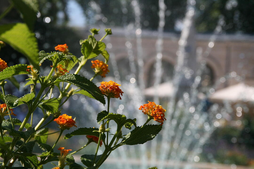 Rakoczy-Fest 2015 Bad Kissingen