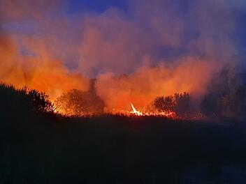 Vegetationsbrand bei Marloffstein (Kreis Erlangen-H&ouml;chstadt) am Montag, 8. August 2022