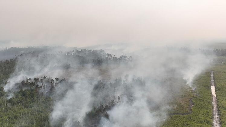 Waldbr&auml;nde in Indonesien