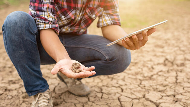 Dürre, Hitze, Hitzesommer