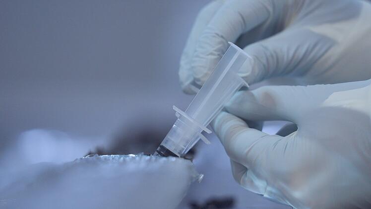 Was steckt in den Bodenproben aus dem Schmutz in Island?