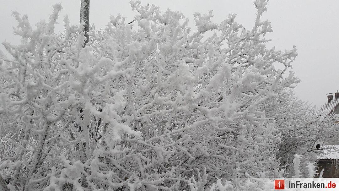 Schnee in Franken Januar 2017 - Leserfotos