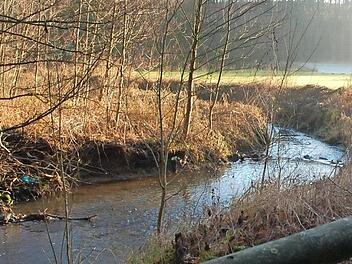 Der Bieberbach wurde bei Weidhausen vor mehreren Jahren renaturiert (Foto). Für das Bieberbachtal bei Sonnefeld schlägt der Landschaftspflegeverband ebenfalls eine Renaturierung vor.  Foto: CT-Archiv/Rainer Lutz