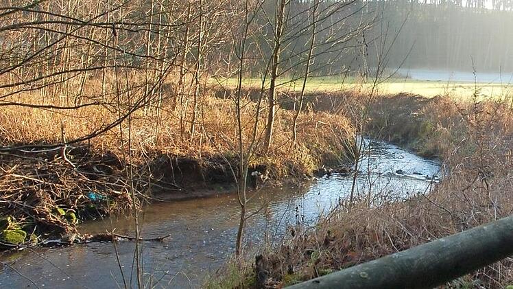 Der Bieberbach wurde bei Weidhausen vor mehreren Jahren renaturiert (Foto). Für das Bieberbachtal bei Sonnefeld schlägt der Landschaftspflegeverband ebenfalls eine Renaturierung vor.  Foto: CT-Archiv/Rainer Lutz