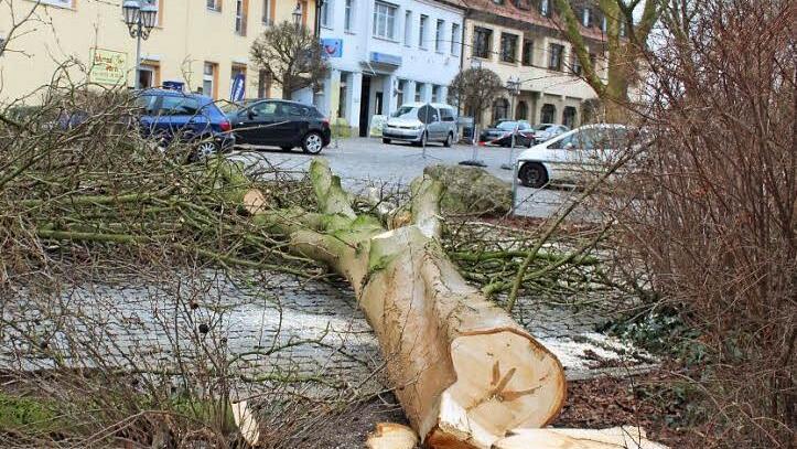 Als am Graben mitten in Höchstadt im Zuge der Hauptstraßensanierung mehrere große Bäume gefällt wurden, gab es viele Diskussionen. Foto: Andreas Dorsch/Archiv