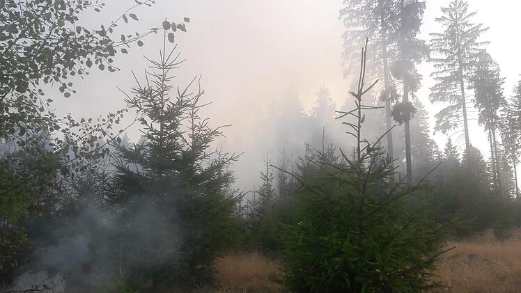 Der Wald am Rennsteig war völlig eingequalmt.Veronika Schadeck