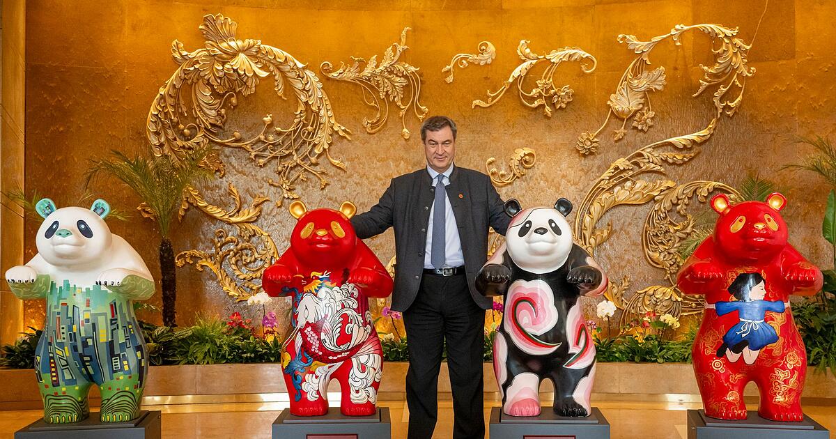 S-der-k-ndigt-Panda-Paar-f-r-M-nchner-Tierpark-an