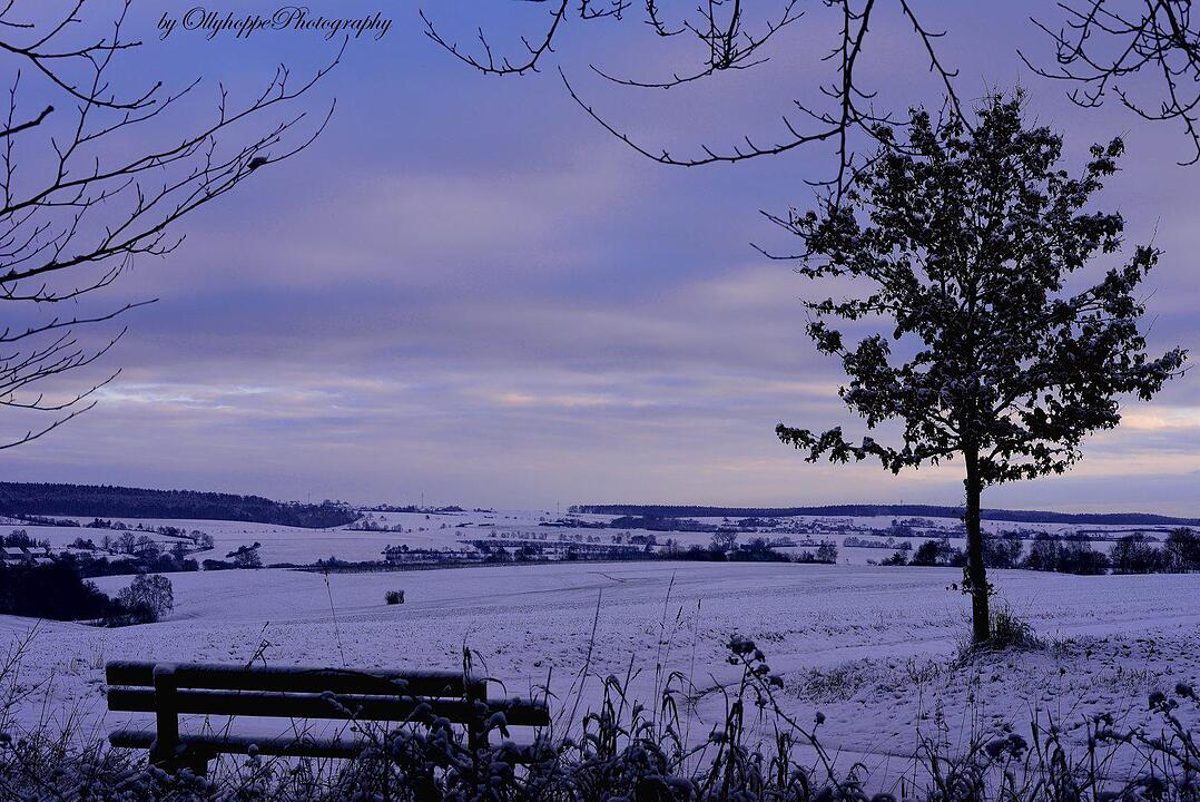 Schnee und Eis - Die schönsten Aufnahmen aus Franken