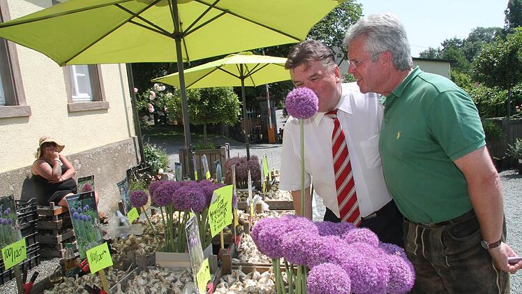 Riecht kein bisschen nach Lauch, ist aber Allium - lassen sich Landrat Klaus Peter Söllner und Ludwig Freiherr von Lerchenfeld aufklären. Foto: Sonja Adam