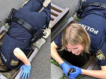 In Pegnitz hat eine Polizistin vier Entenküken aus einem Schacht befreit. Foto: Polizei Oberfranken