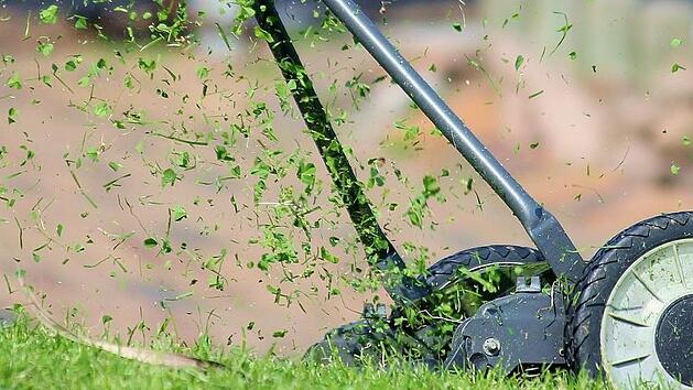 Die Mulchschicht schützt nicht nur vor Unkraut, auch Feuchtigkeit wird besser im Boden behalten. Symbolfoto: pixabay.com
