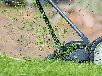 Die Mulchschicht schützt nicht nur vor Unkraut, auch Feuchtigkeit wird besser im Boden behalten. Symbolfoto: pixabay.com