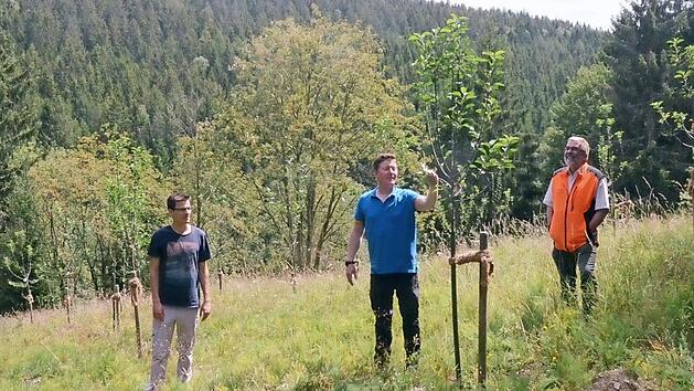 Bei Tettau wurden 100 Obstb&auml;ume auf einer Streuobstwiese von (von links) Forstanw&auml;rter Johannes Sauer, Revierleiter Christian Goldamme und Forstbetriebsleiter Peter Hagemann neu gepflanzt.  Foto: K.- H. Hofmann