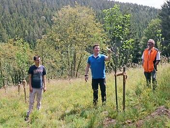 Bei Tettau wurden 100 Obstbäume auf einer Streuobstwiese von (von links) Forstanwärter Johannes Sauer, Revierleiter Christian Goldamme und Forstbetriebsleiter Peter Hagemann neu gepflanzt.  Foto: K.- H. Hofmann