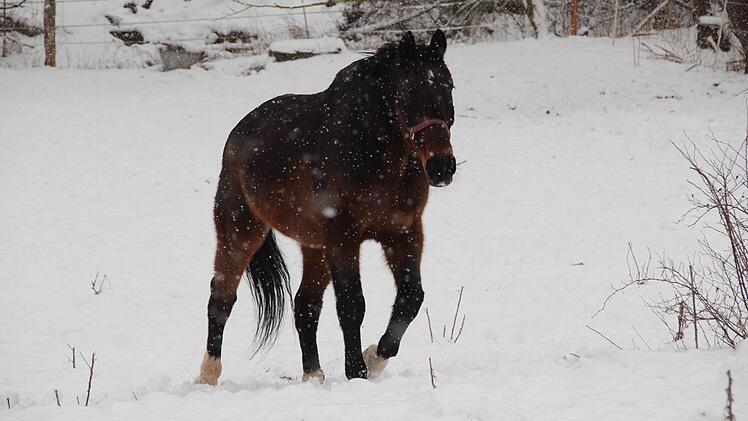 Foto: Eckehard Kiesewetter