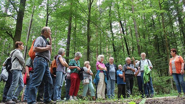 Egbert Sauer (Zweiter v. r.) erklärte den Lesern viele Details aus dem Hauptsmoorwald... Foto: Michael Memmel