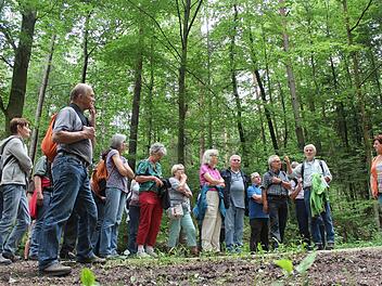 Egbert Sauer (Zweiter v. r.) erklärte den Lesern viele Details aus dem Hauptsmoorwald... Foto: Michael Memmel