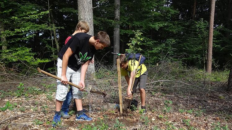 Förster Wolfgang Gnannt hat die Schüler der achten Klassen am Unesco-Projekttag durch den Eberner Wald geführt. Am Ende konnten die Schüler auch vier Bäume in der Nähe des Schützenhauses pflanzen.