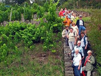 Fotostopp auf einer alten Winzertreppe.  Foto: Rhönklub