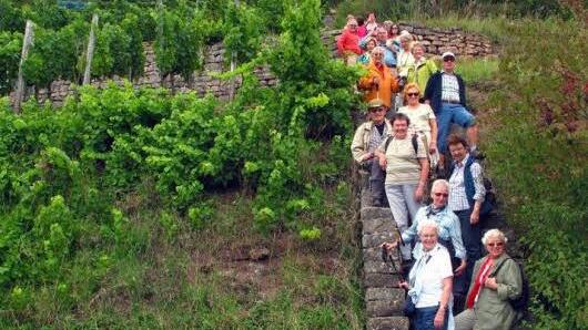 Fotostopp auf einer alten Winzertreppe.  Foto: Rhönklub