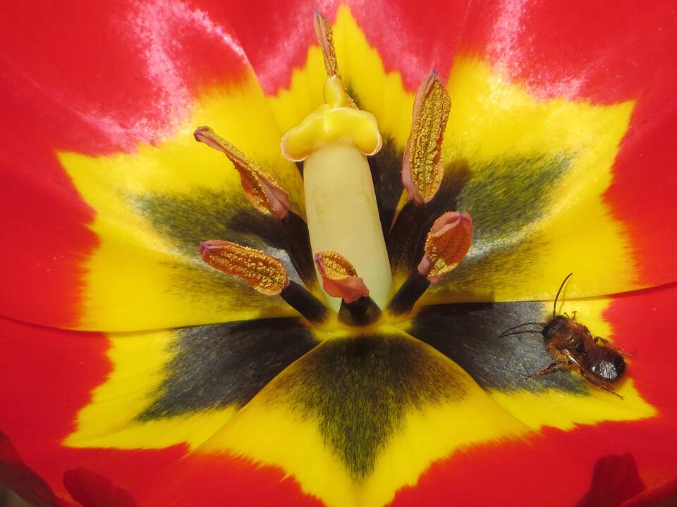 Die schönsten Frühlingsfotos aus den Haßbergen