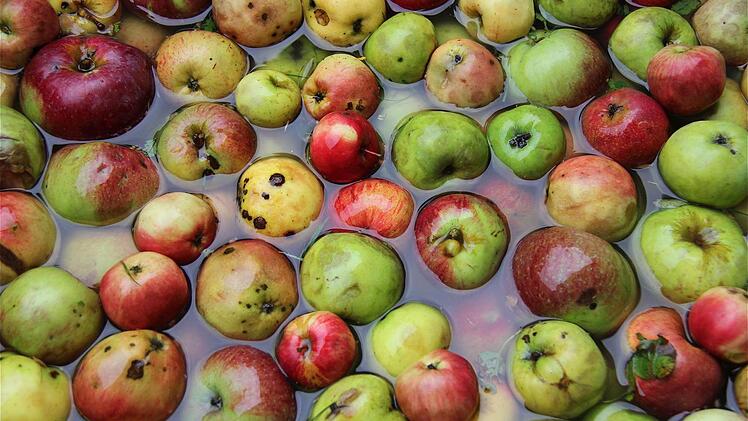 Trierer, Boskop, Winterrambour, Bonapfel und Goldrenette: heimische Apfelsorten.