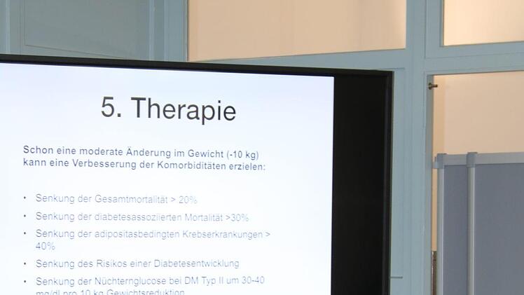 Am ersten Tag des Blockseminars dreht sich der Inhalt vor allem um verschiedene Therapieformen. Mirjam Stumpf