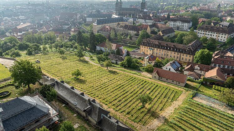Bamberg: Nach 14 Jahren - Winzer verl&auml;sst Weinberg am Michaelsberg