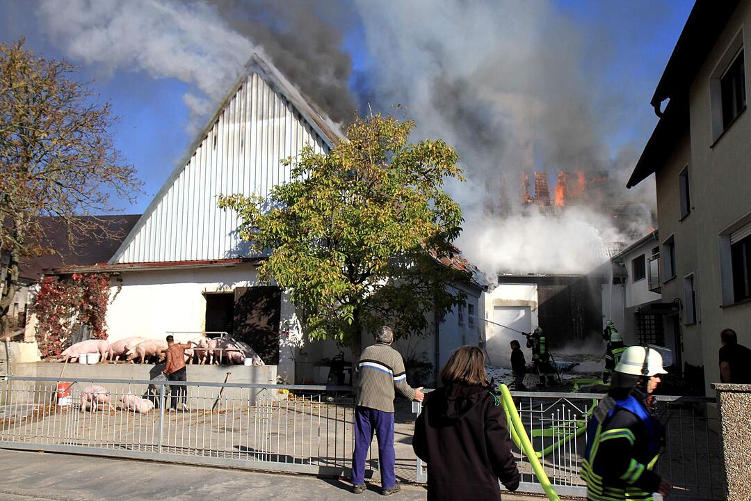 Brand in Schweinestall in Herzogenaurach