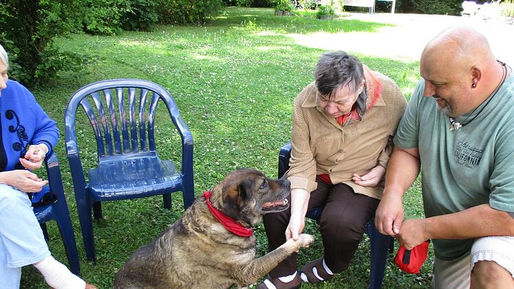 Mit seinem Hund Ben bringt Altenpfleger und Hundetherapeut Christian Sauer seit dreieinhalb Jahren besondere Freude und Abwechslung in die Senioreneinrichtungen der Caritas in Hofheim. Die Hundetherapie erfreut sich bei den Senioren größter Beliebtheit.  Fotos: Sabine Weinbeer